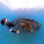 Diver K 潛遊空間／Instructor Coral Instagram 頭像