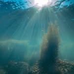 Dive Limitless 潛L Instagram 頭像